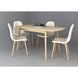 Стіл EXEN ІІ стіл 120(160)*80 дерево/кремовий