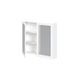 Шкаф настенный с зеркалом TORETO 70x80/2D Белый HALMAR